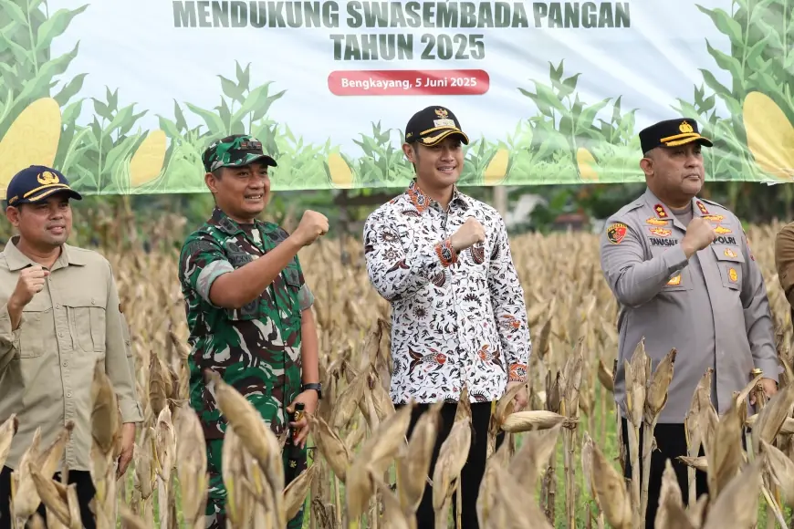 Panen Raya Jagung di Tuban, Pemkab dan Bulog Berkomitmen Serap Hasil Petani