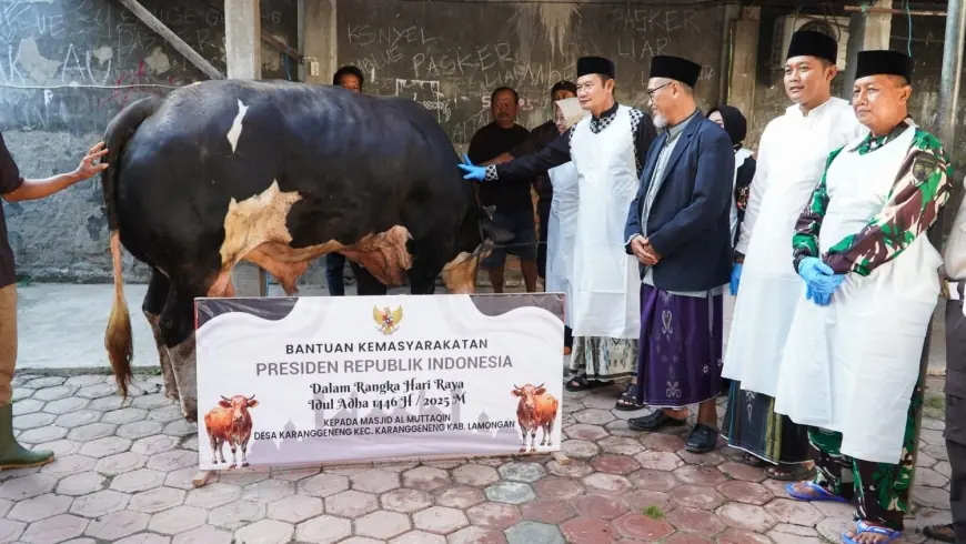Bupati Lamongan Serahkan Sapi Kurban dari Presiden Prabowo ke Masjid Al Muttaqin Karanggeneng