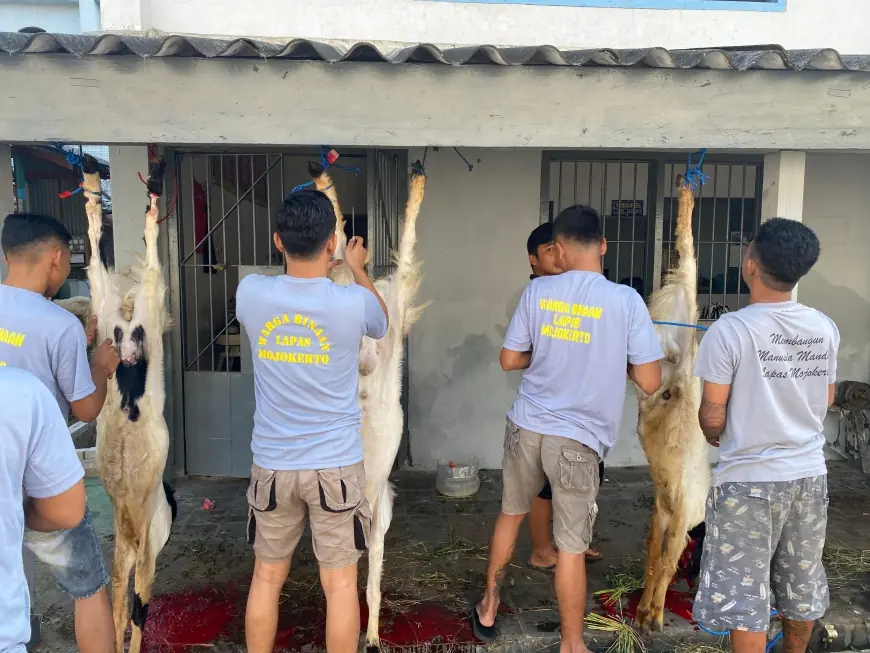 Iduladha Didalam Penjara Mojokerto, 12 Ekor Kambing dan 3 Ekor Sapi Dikurbankan