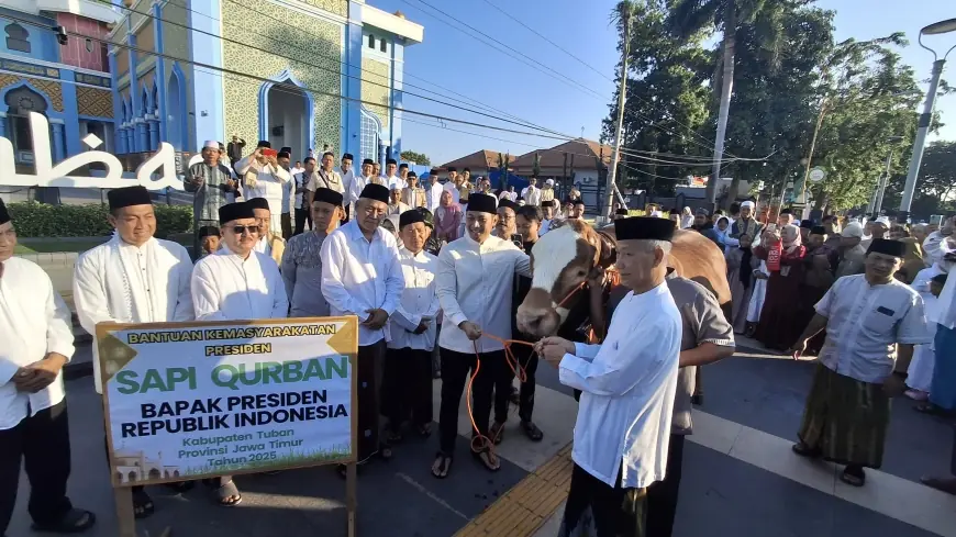 Presiden Prabowo Sumbang Sapi Kurban 1,2 Ton untuk Warga Tuban
