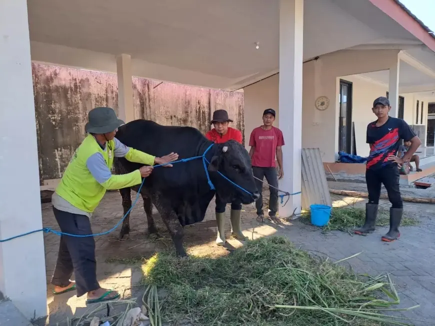 Semangat Gotong Royong, DPRD Nganjuk Patungan Beli Hewan Kurban