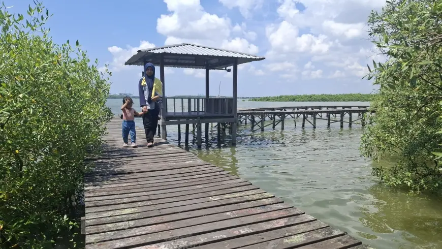 Menikmati Libur Panjang di Hutan Mangrove Karangkiring Gresik