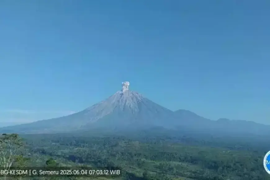 Gunung Semeru Alami Erupsi dan Banjir Lahar, Status Waspada Ditetapkan