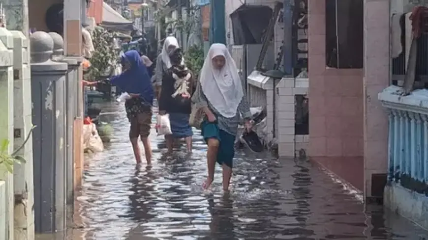 BMKG Warning Potensi Banjir Rob di Pesisir Jatim pada 11–15 Juni 2025