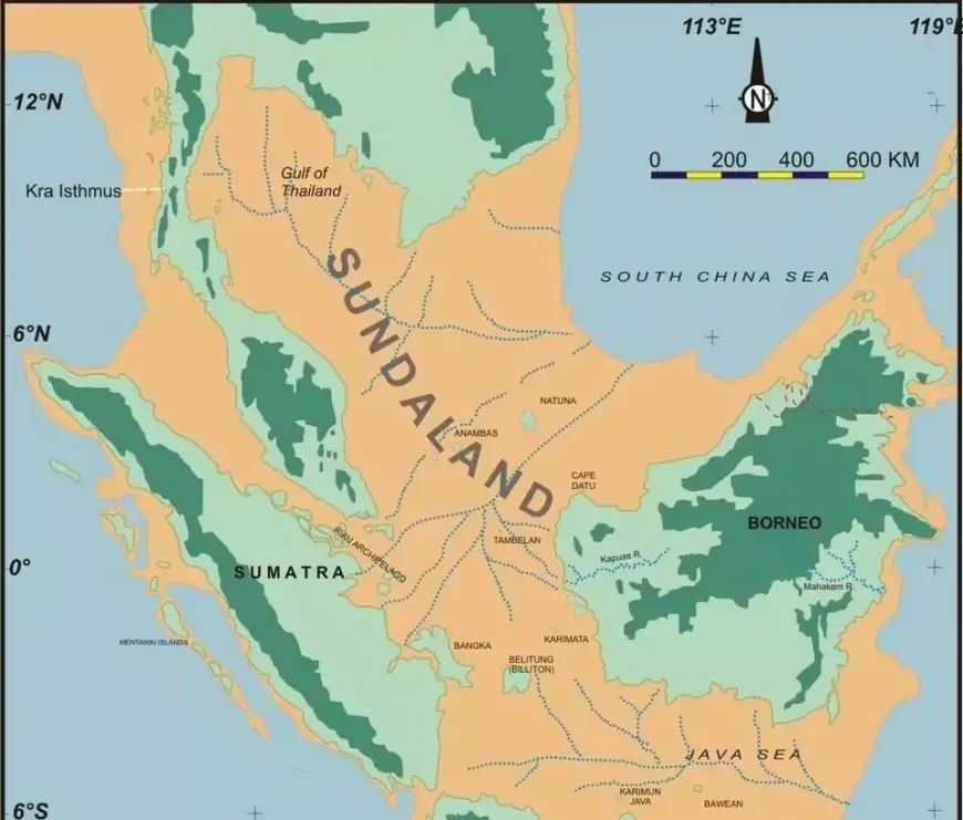 Seorang Arkeolog Temukan Homo Erectus di Selat Madura, Ungkap Kebenaran Sundaland
