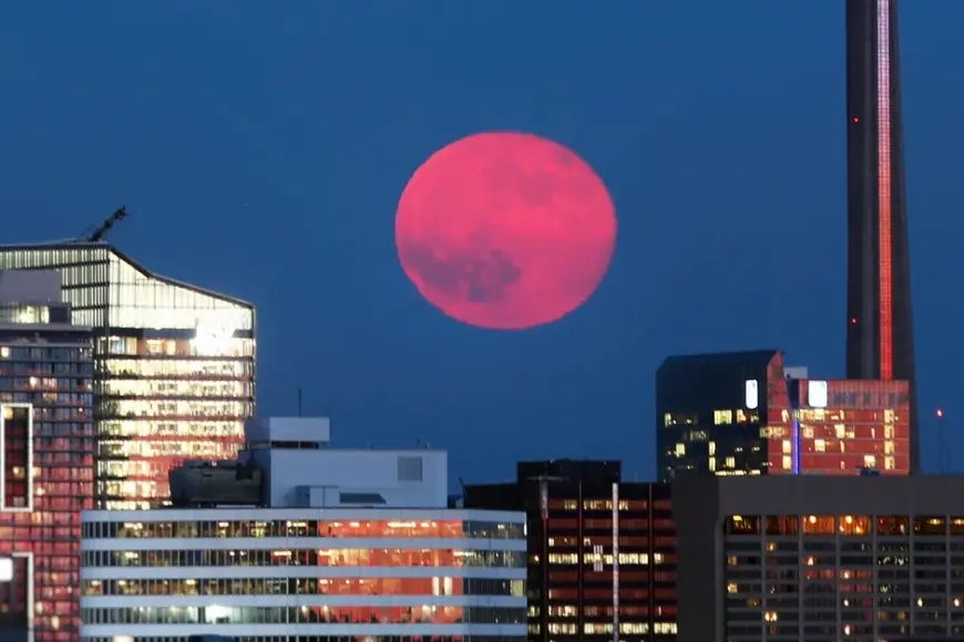 Selain Strawberry Moon, Ini Deretan Fenomena Langit Sepanjang Tahun 2025