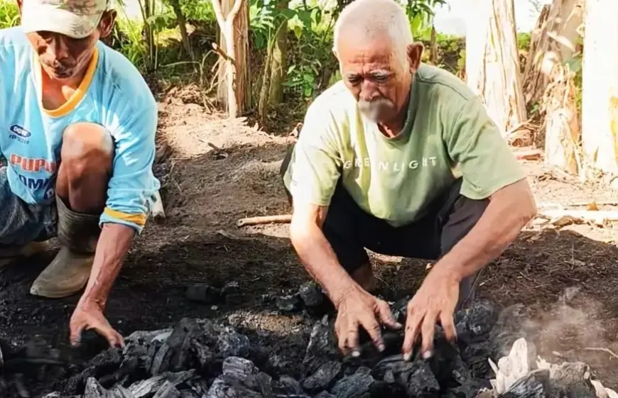 Perjuangan Sang Penjual Arang Asal Lereng Mumbulsari Jember