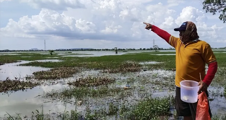 Dianggap Biang Petaka, Petani di Tuban Jebol Tanggul Waduk JRD yang Mangkrak Puluhan Tahun
