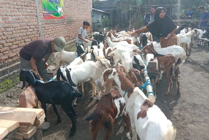 Semringah, 23 Warga di Jombang Terima Bantuan Kambing untuk Ketahanan Pangan
