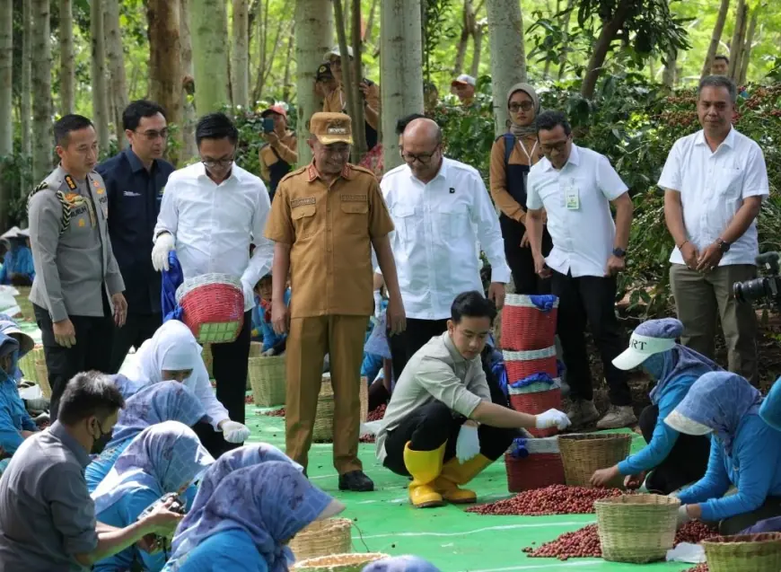 Menjawab Tantangan Perkopian di Indonesia, Wapres Gibran: Petani Harus Menjaga Kualitas