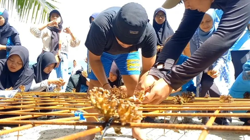 Pemkab Trenggalek Perbaiki Ekosistem Laut  Melalui Konservasi Terumbu Karang di Pantai Mutiara