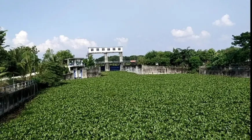 Petani di Tuban dan Lamongan Tuntut Waduk JRD Segera Dinormalisasi