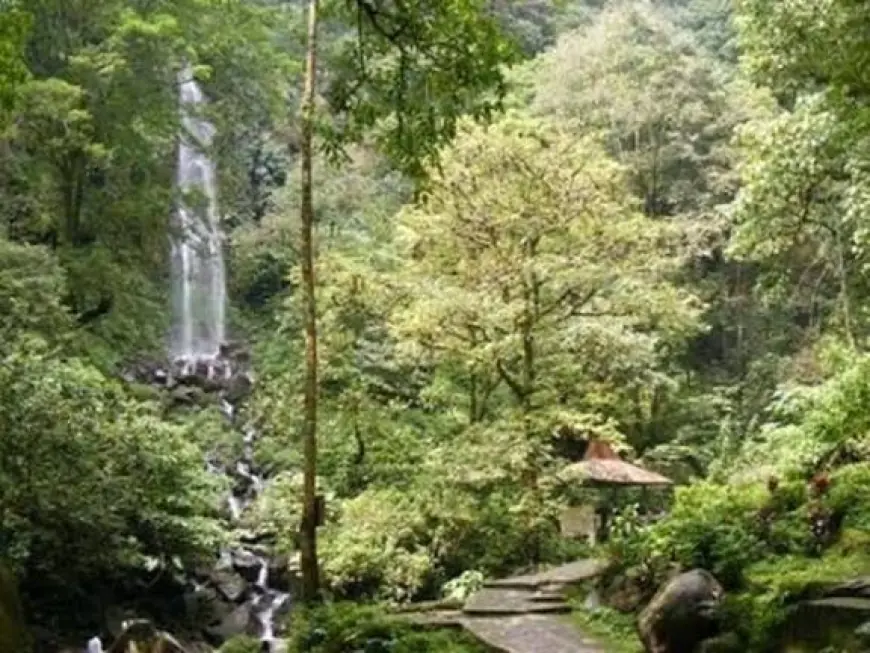 Eksplorasi Wisata Alam Menarik di Pasuruan, Mulai dari Danau hingga Air Terjun