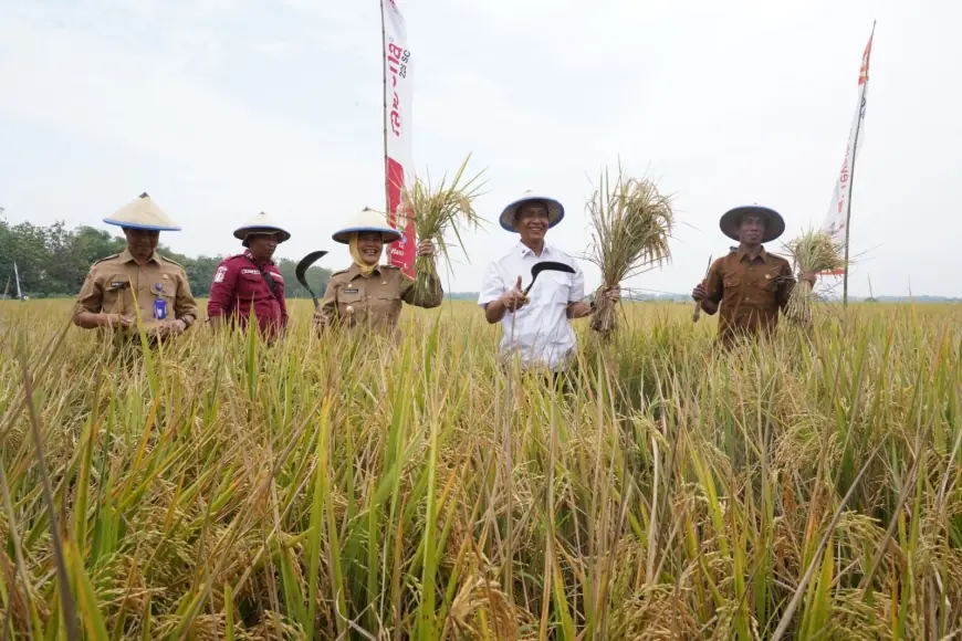 Bojonegoro Bertekad Jadi Produsen Padi Terbesar Kedua di Jatim