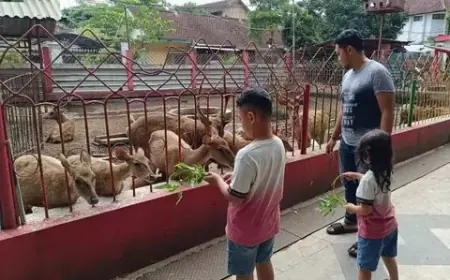 Taman Kebonrojo Blitar, Wisata Murah Meriah Favorit saat Libur Sekolah