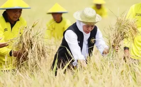 Dari Berakhirnya Panen Raya hingga Demo ODOL, Inflasi Jawa Timur Juni 2025 Capai 0,43 Persen