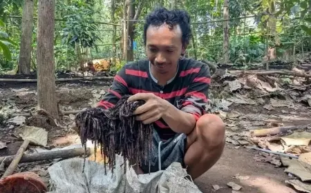 Warga Madiun Raup Puluhan Juta Rupiah dari Budi Daya Cacing Tanah