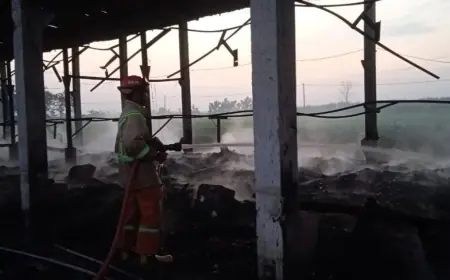 Kandang Ternak di Jombang Terbakar, Puluhan Ribu Ekor Ayam Terpanggang
