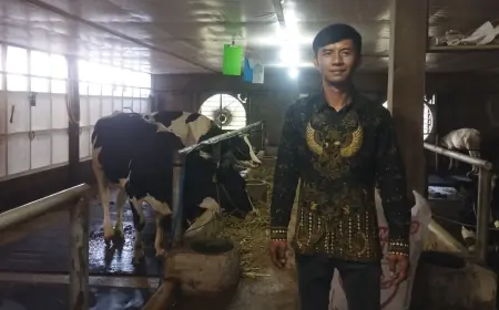 Peternakan Sapi Perah di Desa Permanu Malang Meningkat Pesat Berkat Metode Close House
