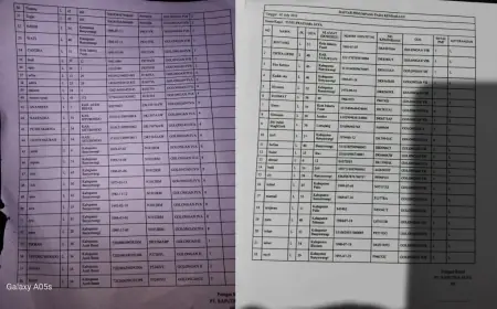Ini Daftar Penumpang KMP Tunu Pratama Jaya yang Tenggelam di Selat Bali