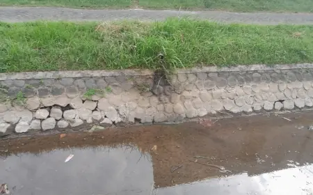 Rumah Pemotongan Ayam di Nganjuk Diduga Buang Limbah ke Sungai dan Timbulkan Bau Tak Sedap, Warga Komplain