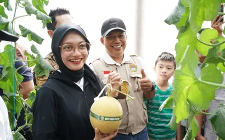 Petik Melon Perdana di GEN SOBO Farm, Mbak Wali Ingatkan Pentingnya Urban Farming