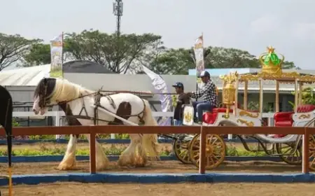 Jatim Park Hadirkan Wisata Berkuda Saat Liburan Sekolah