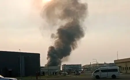 PT Hailiang Nova Material Indonesia di Gresik Terbakar, Freeport Bantu Pemadaman