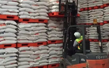 Konsumen Rugi Rp99 Triliun akibat Beras Oplosan, 212 Merek Diungkap