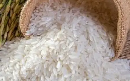Bahaya Mengonsumsi Beras Oplosan dalam Jangka Panjang