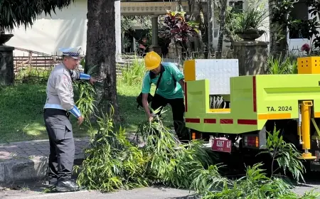 Kolaborasi Polisi dan DLH Bondowoso Kepras Pohon, Ini Tujuannya