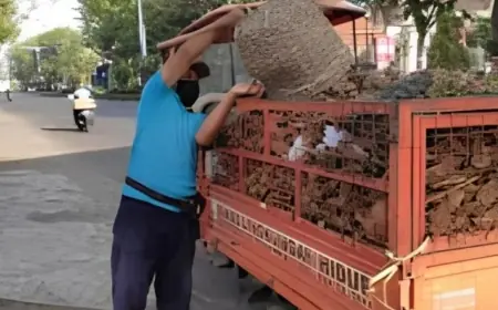Upah Penyapu Jalan di Kota Batu Dijanjikan Naik Rp150 Ribu pada P-APBD 2025