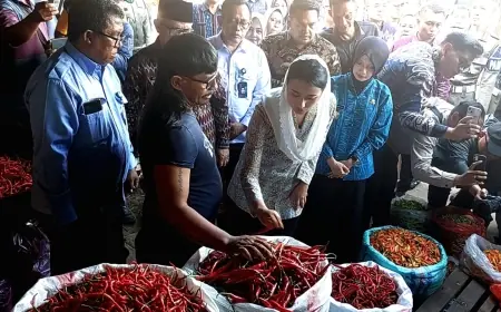 Soroti Temuan Beras Oplosan, Wamendag Tegaskan Pentingnya Pengawasan di Pasar Daerah