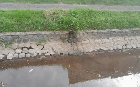 Polemik Limbah Ayam di Nganjuk Masuk ke Ranah Hukum, Polisi Segera Panggil Saksi