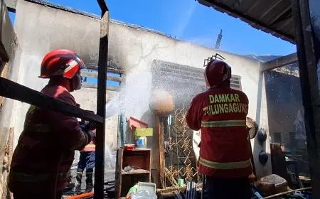 Gudang Penetasan Telur di Tulungagung Terbakar, Kerugian Capai Rp100 Juta