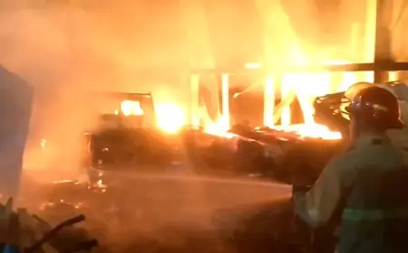 Kebakaran Hanguskan Tempat Penggergajian Kayu di Trenggalek, Kerugian Capai Setengah Miliar Rupiah