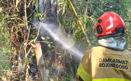 Rumpun Bambu Terbakar di Balen, Damkar Bojonegoro Bergerak Cepat Padamkan Api