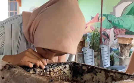 Sensasi Mengisap Madu Langsung dari Sarang di Kampung Wisata 3D Blitar