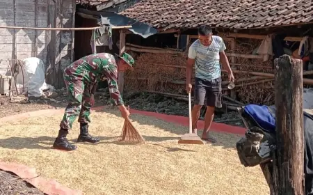 TMMD-125 Jombang: Kehangatan TNI Bersama Warga dari Gotong Royong hingga Jemur Padi