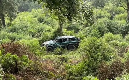 Diduga Rem Blong, Land Cruiser Terjun ke Jurang di Poncokusumo Malang, Dua Penumpang Dilarikan ke RS