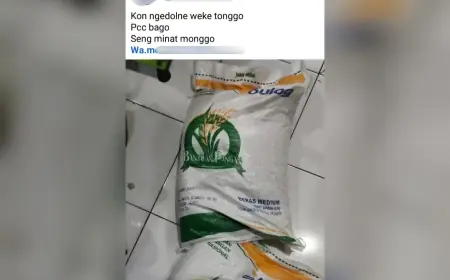Bulog Sayangkan Aksi Penjualan Beras Bantuan di Tulungagung, Upayakan Pelacakan Lewat Perangkat Desa