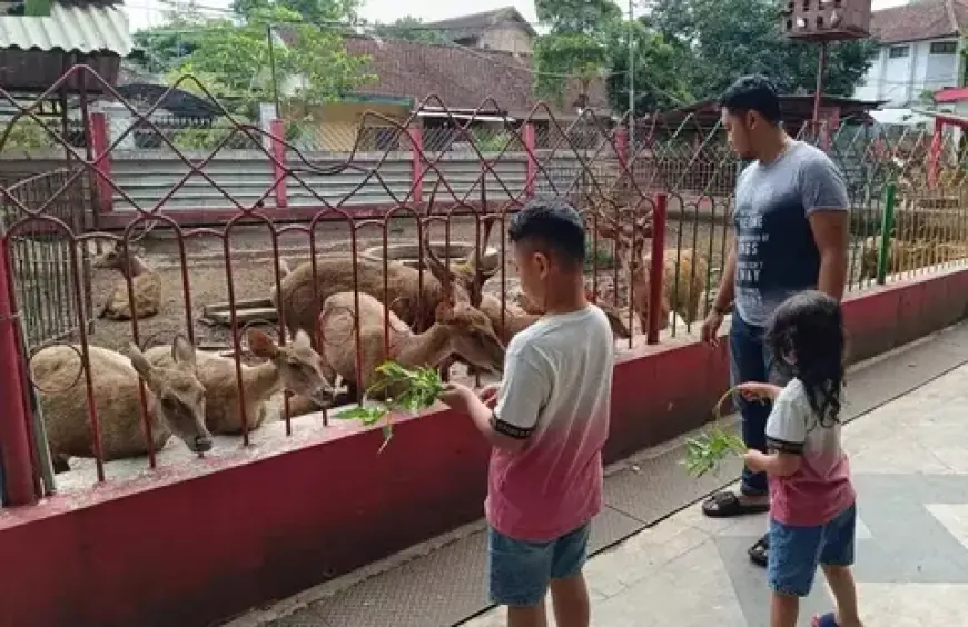 Taman Kebonrojo Blitar, Wisata Murah Meriah Favorit saat Libur Sekolah