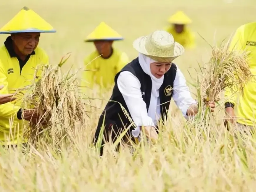 Dari Berakhirnya Panen Raya hingga Demo ODOL, Inflasi Jawa Timur Juni 2025 Capai 0,43 Persen