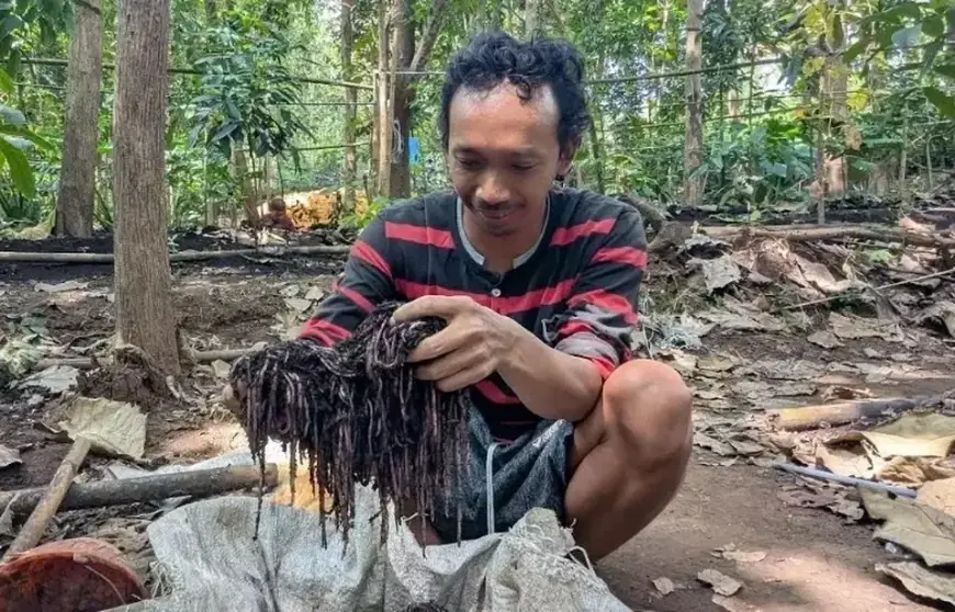 Warga Madiun Raup Puluhan Juta Rupiah dari Budi Daya Cacing Tanah