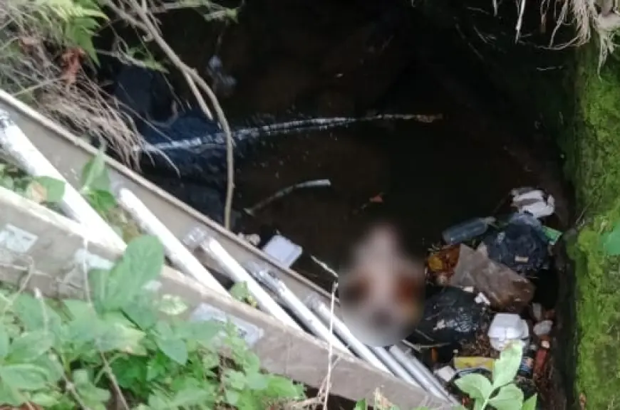 Polisi Buru Pelaku Pembuangan Bayi Laki-Laki di Sungai Pacet Mojokerto