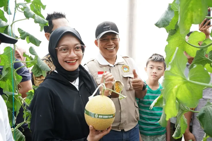 Petik Melon Perdana di GEN SOBO Farm, Mbak Wali Ingatkan Pentingnya Urban Farming