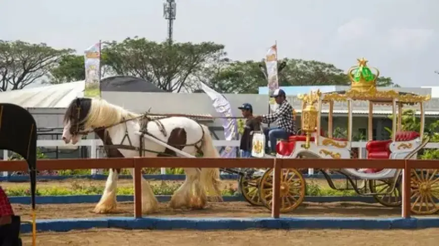 Jatim Park Hadirkan Wisata Berkuda Saat Liburan Sekolah