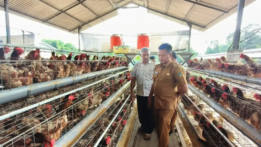 Dukung Program MBG dan Tindaklanjuti Kunjungan Wapres, Wabup Blitar Cek Peternakan Ayam Petelur
