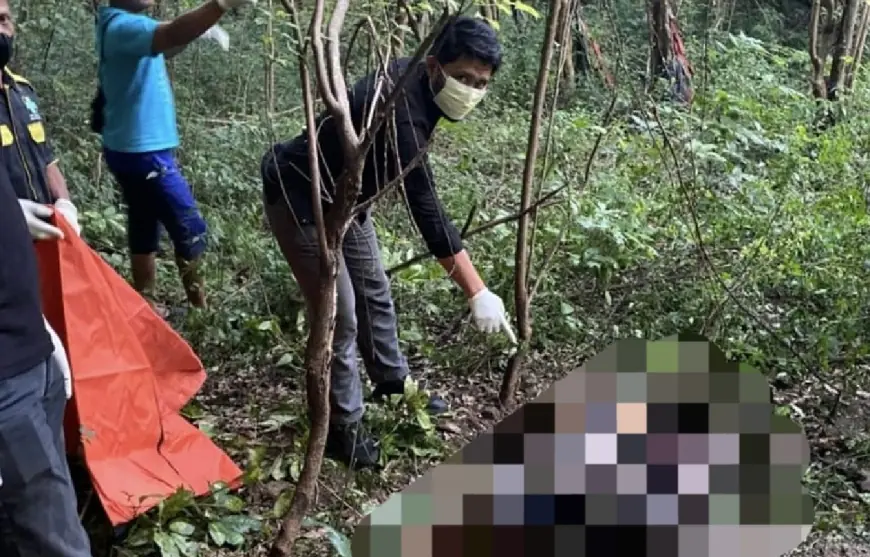 Geger Temuan Mayat Membusuk di Bukit Suci Gresik, Polisi Lakukan Penyelidikan
