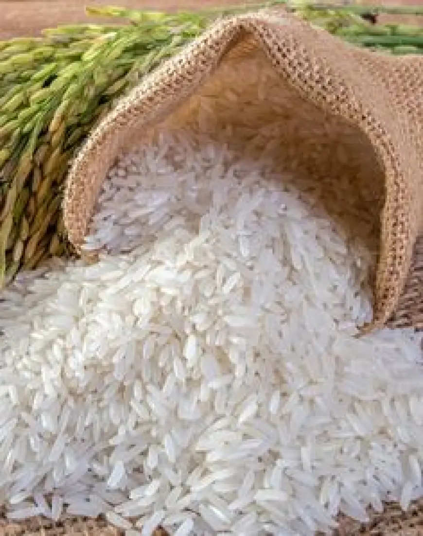 Bahaya Mengonsumsi Beras Oplosan dalam Jangka Panjang